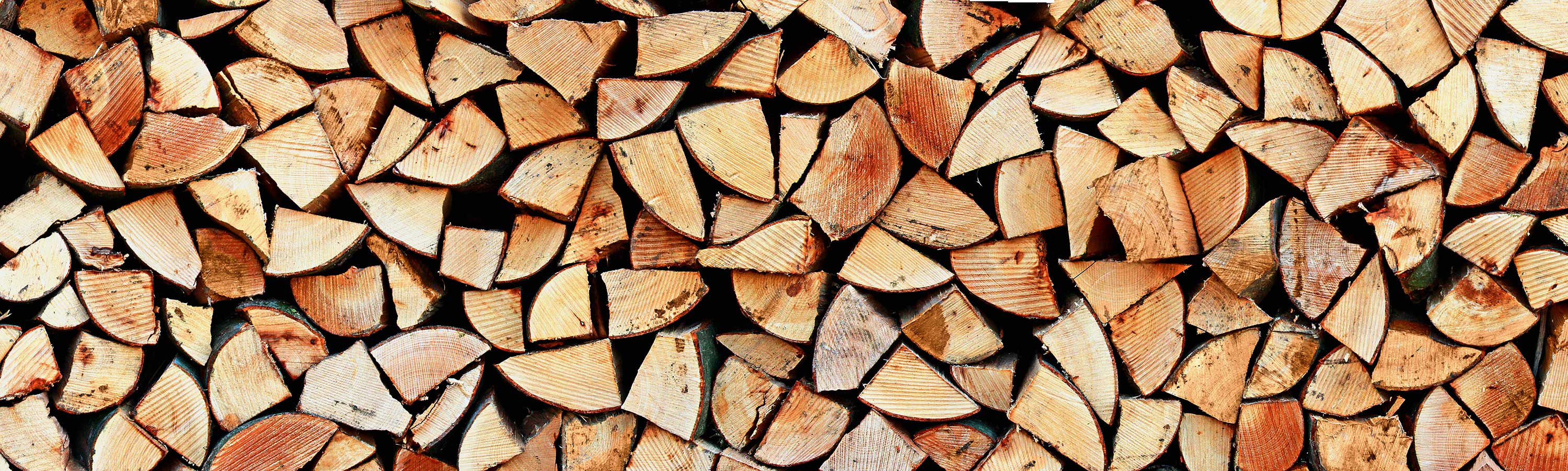 Holzarten sibirisches Holz Gießen Hof Holzhandel